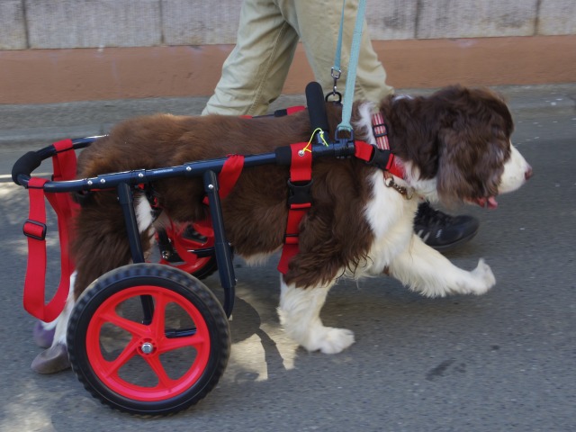 640×480-IMGP5023.jpg