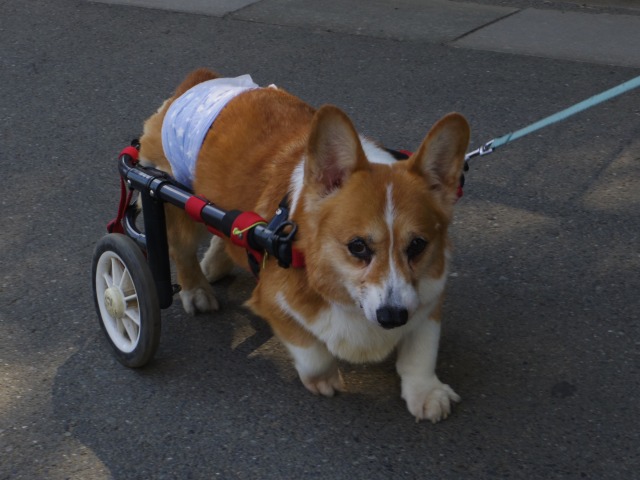 640×480-IMGP5028.jpg