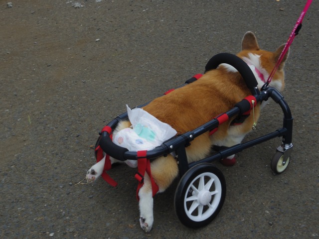 640×480-IMGP5050.jpg