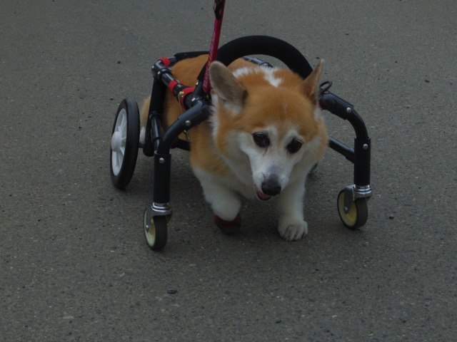 640×480-IMGP5056.jpg