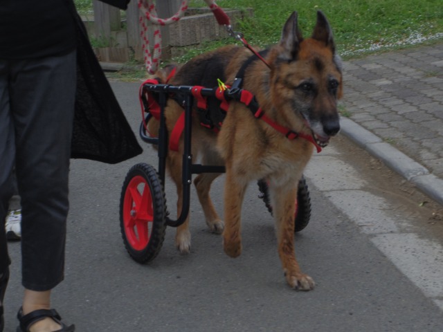 640×480-IMGP5057.jpg