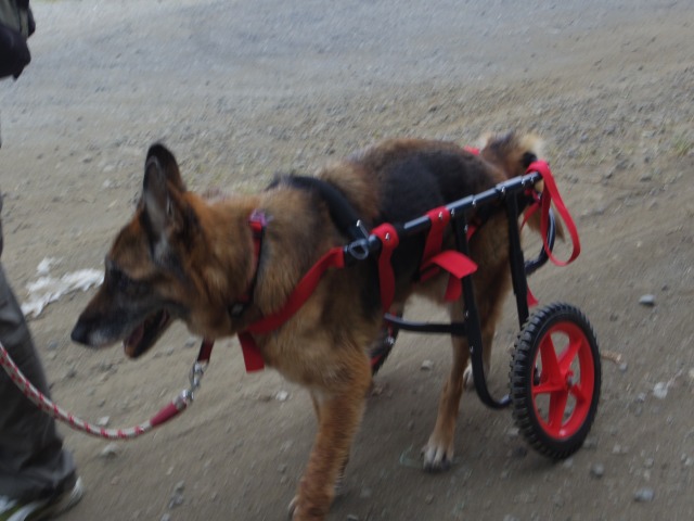 640×480-IMGP5061.jpg