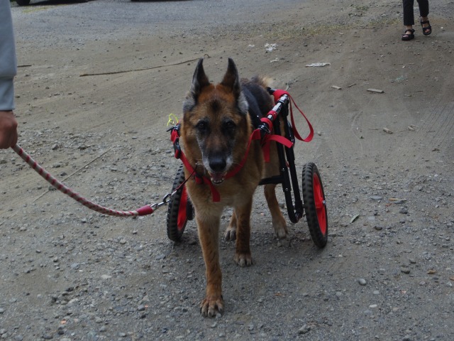 640×480-IMGP5062.jpg