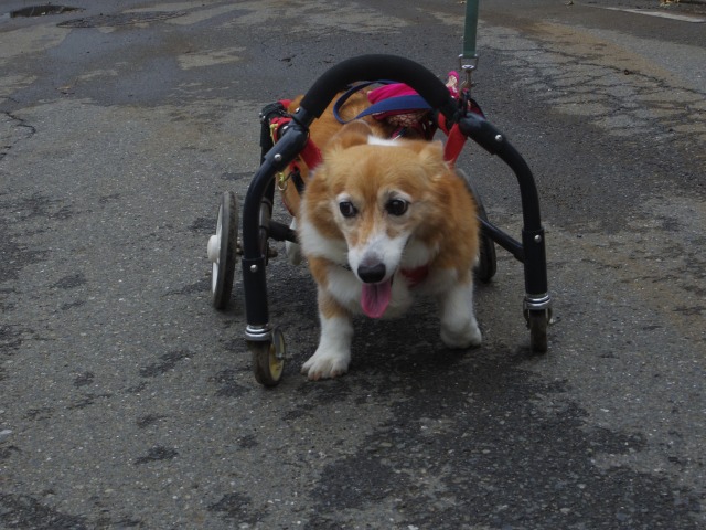 640×480-IMGP5082.jpg