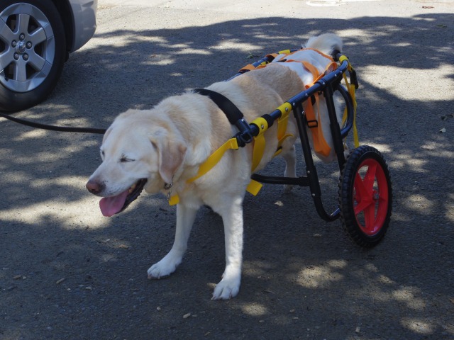 640×480-IMGP5093.jpg