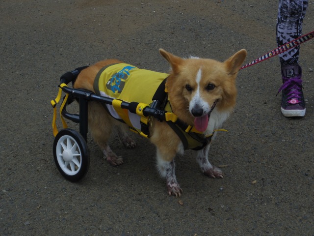 640×480-IMGP5098.jpg