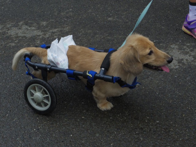 640×480-IMGP5110.jpg