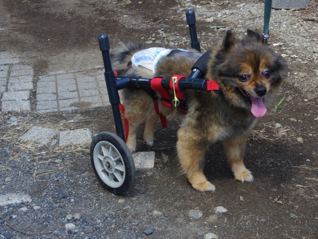 640×480-IMGP5144.jpg