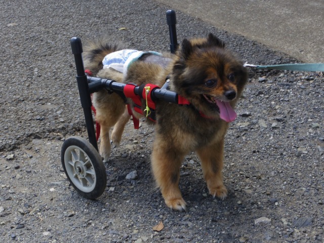640×480-IMGP5147.jpg