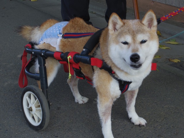 640×480-IMGP5153.jpg
