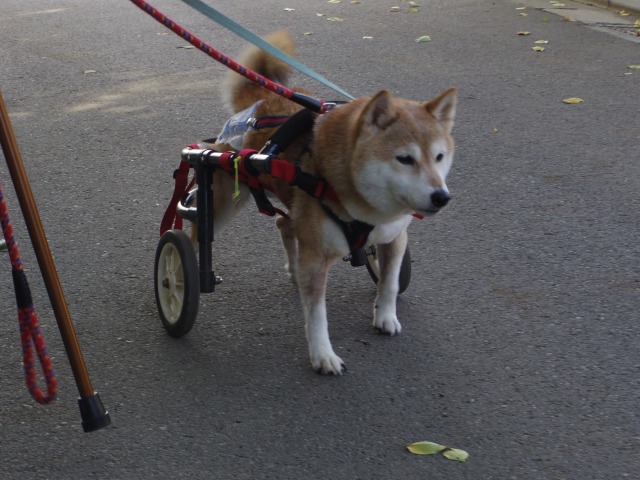 640×480-IMGP5157.jpg