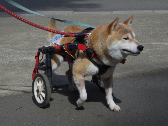 640×480-IMGP5161.jpg