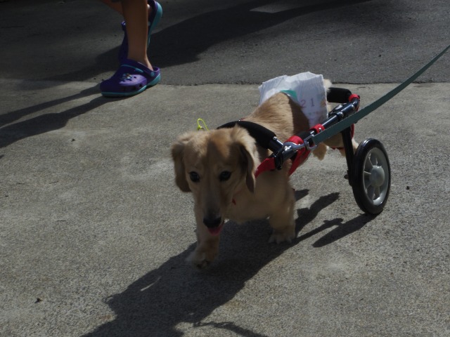640×480-IMGP5165.jpg