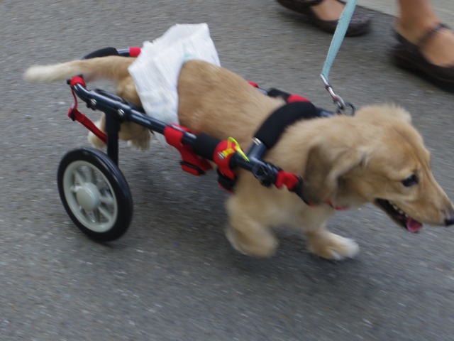 640×480-IMGP5170.jpg