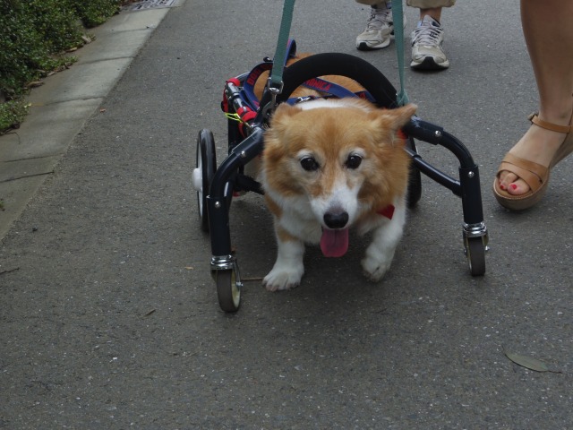 640×480-IMGP5175.jpg
