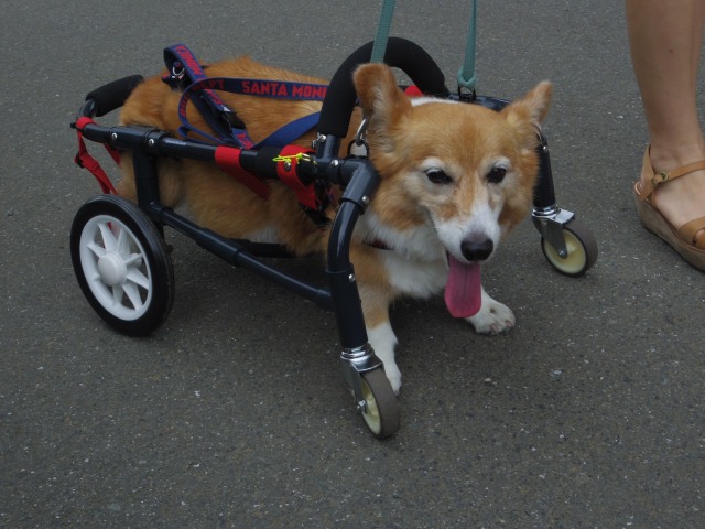 640×480-IMGP5178.jpg