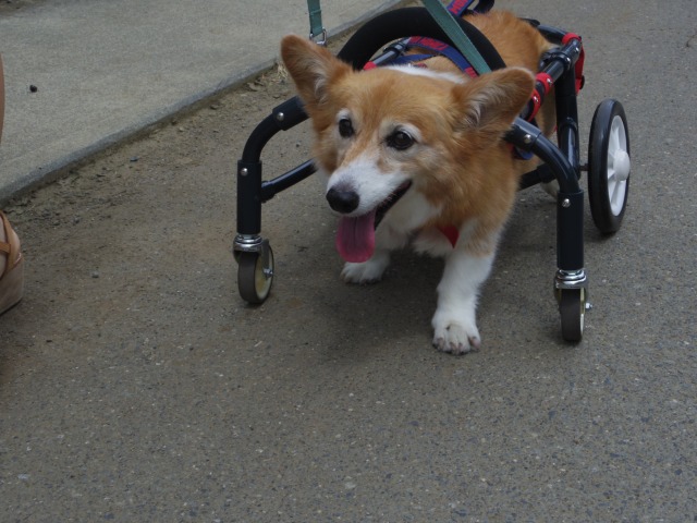 640×480-IMGP5182.jpg