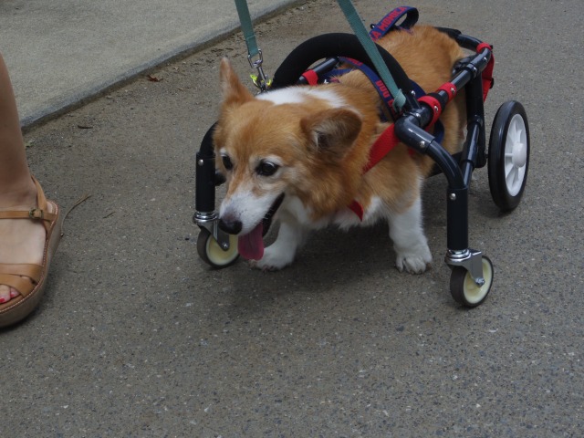 640×480-IMGP5183.jpg