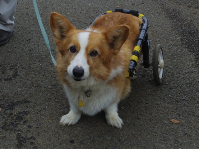 640×480-IMGP5199.jpg