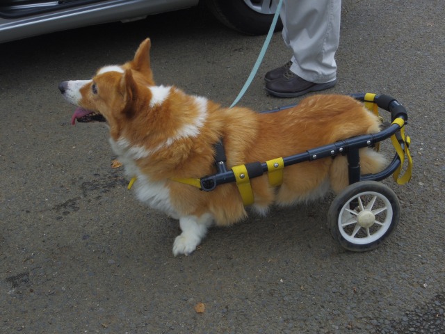 640×480-IMGP5201.jpg