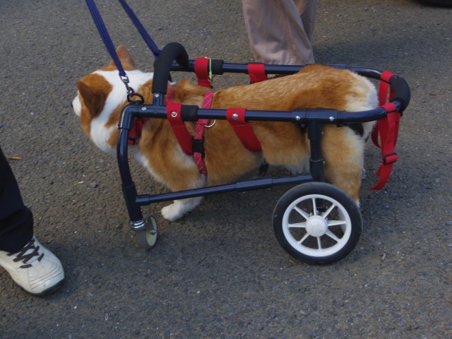 640×480-IMGP5223.jpg
