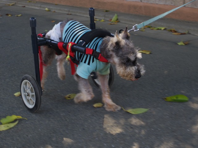 640×480-IMGP5239.jpg