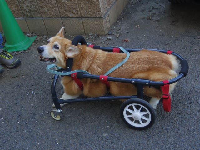 640×480-IMGP5247.jpg