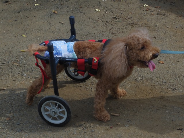640×480-IMGP5296.jpg