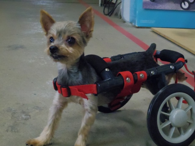 640×480-IMGP5313.jpg