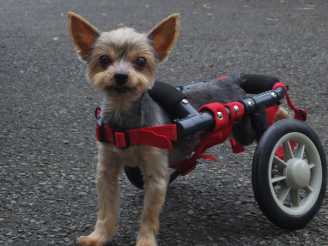 640×480-IMGP5316.jpg