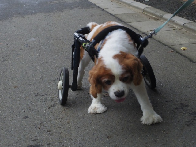 640×480-IMGP5329.jpg
