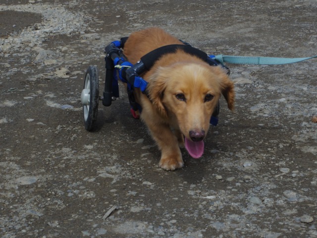 640×480-IMGP5334.jpg