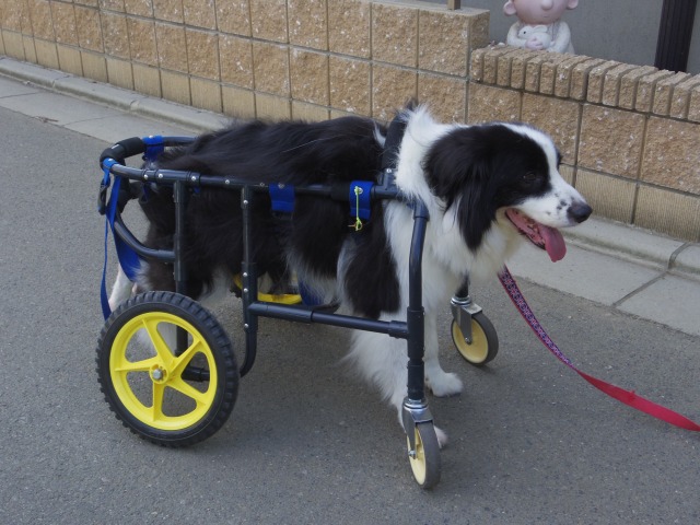 640×480-IMGP5381.jpg