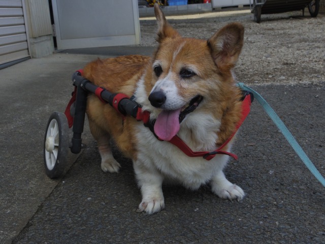 640×480-IMGP5390.jpg