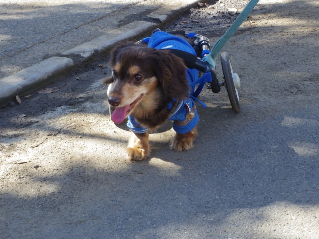 640×480-IMGP5415.jpg