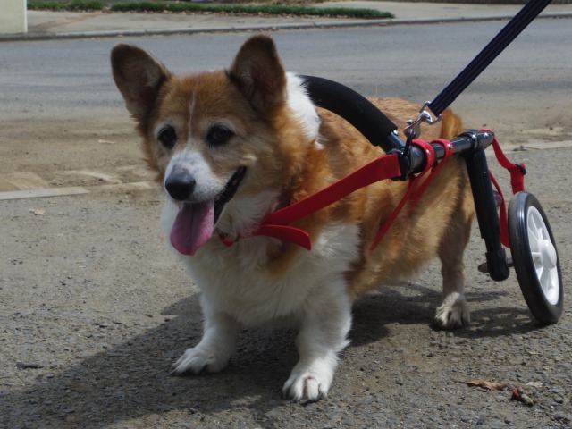 640×480-IMGP5442.jpg