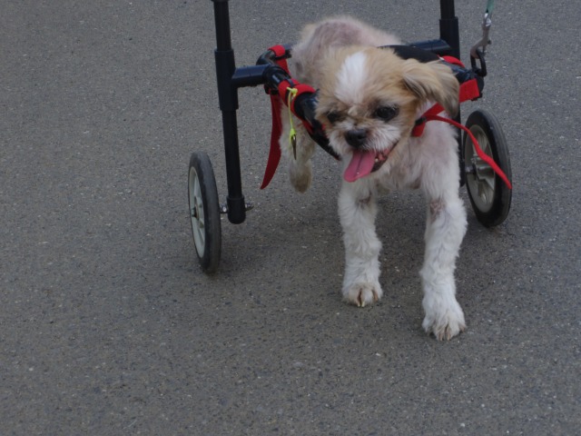 640×480-IMGP5454.jpg