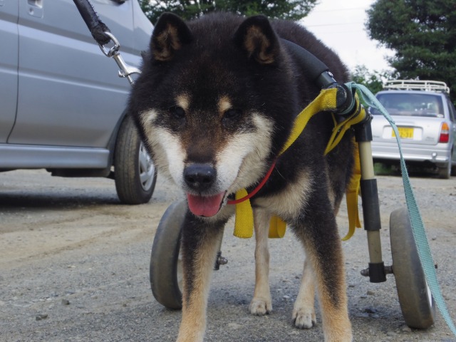640×480-IMGP5472.jpg