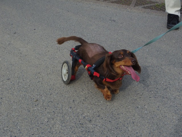640×480-IMGP5483.jpg