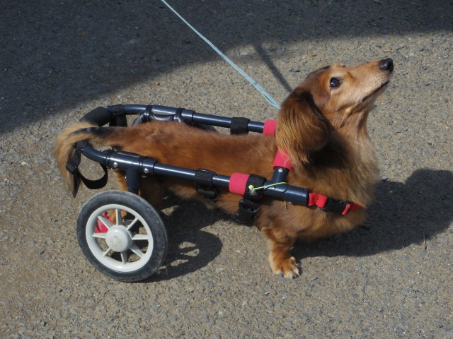 640×480-IMGP5496.jpg