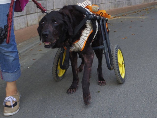 640×480-IMGP5516.jpg