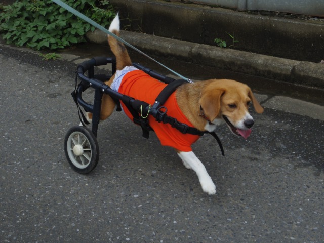 640×480-IMGP5565.jpg