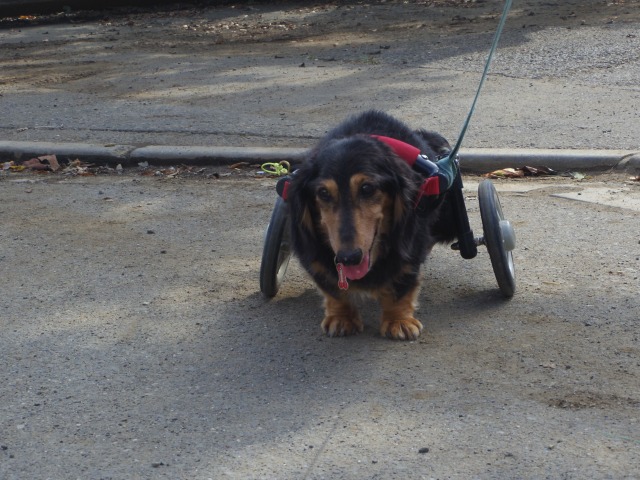 640×480-IMGP5617.jpg