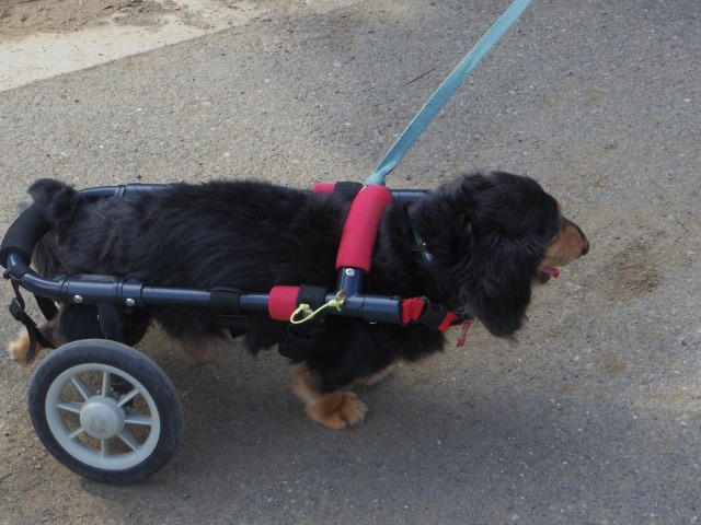 640×480-IMGP5619.jpg