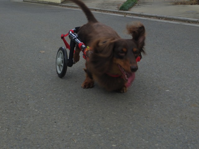 640×480-IMGP5665.jpg