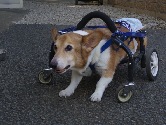 640×480-IMGP5698.jpg