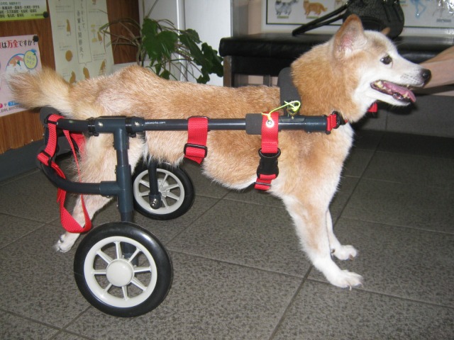640×480-IMG_1233.jpg