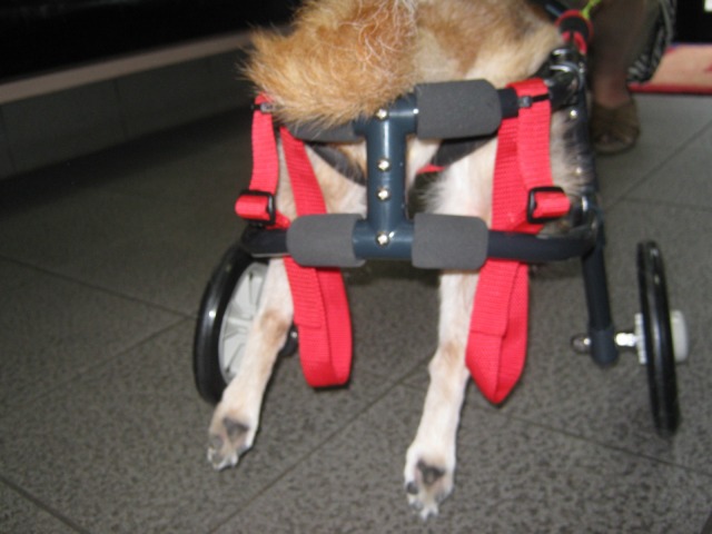640×480-IMG_1234.jpg