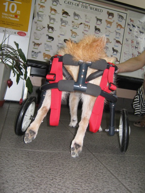 640×480-IMG_1236.jpg
