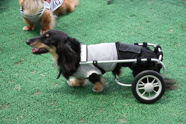 640×480-IMG_3030.jpg